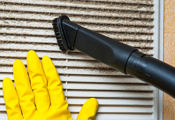 Best Air Duct Sanitizing Services  in Browntown, PA